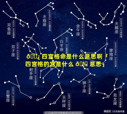 🌿 四宫格命是什么意思啊「四宫格的宫是什么 🦄 意思」